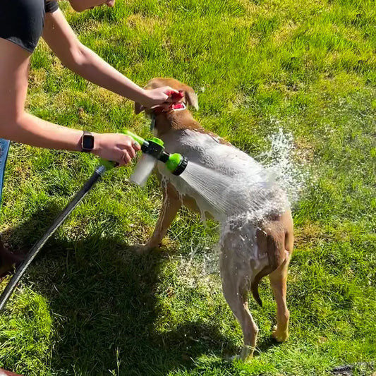 Dog Shower Jet