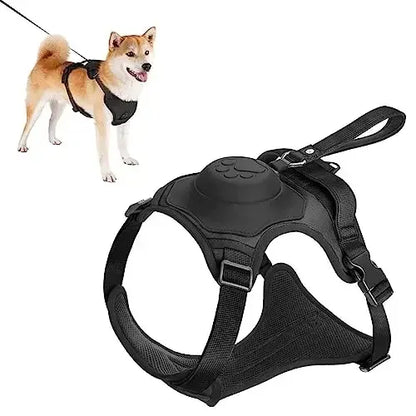 Dog Harness & Retractable Leash