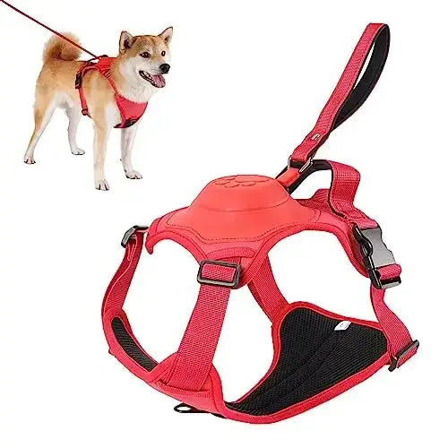 Dog Harness & Retractable Leash