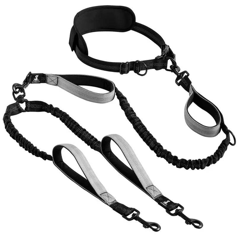 Reflective Comfort Leash