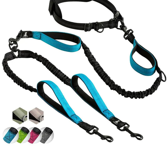 Reflective Comfort Leash