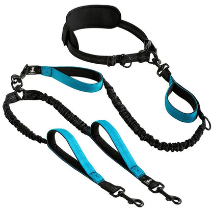 Reflective Comfort Leash