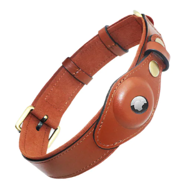 Leather Anti-Lost Dog Collar