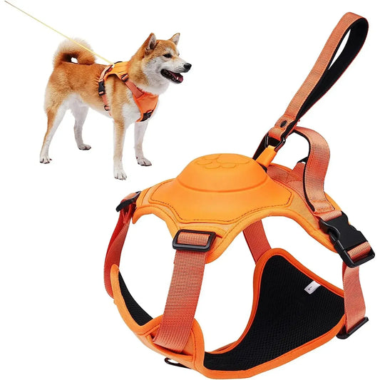 Dog Harness & Retractable Leash