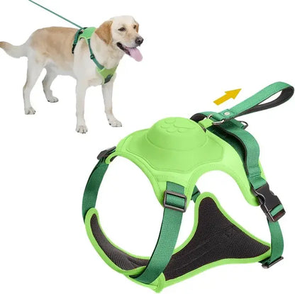 Dog Harness & Retractable Leash